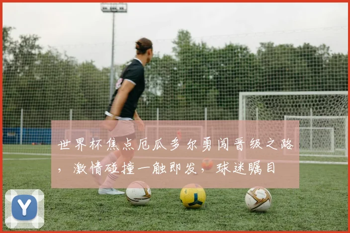 世界杯焦点厄瓜多尔勇闯晋级之路，激情碰撞一触即发，球迷瞩目